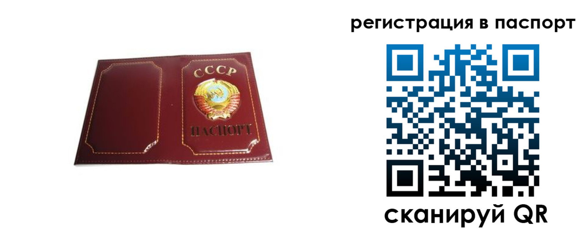 прописка 2025 в Амурске